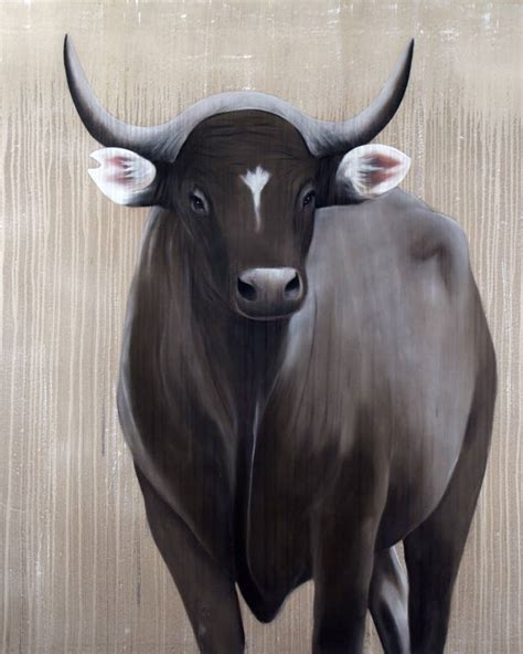 BANTENG Banteng-threatened-endangered-extinction-Contemporary animal ...