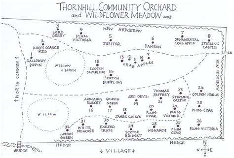 Orchard Map and Tree Information – Thornhill Community Website