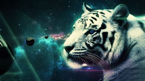 Awesome Tiger Wallpapers - Top Free Awesome Tiger Backgrounds - WallpaperAccess