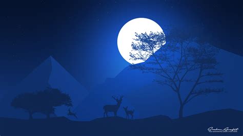 Night Illustration on Behance