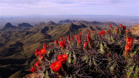 Big Bend National Park Wallpapers - Wallpaper Cave