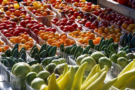 Summer vegetables: What grows best, tips for a healthy garden | WTOP