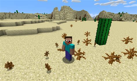 Dead Bush | Minecraft noob Wikia | FANDOM powered by Wikia