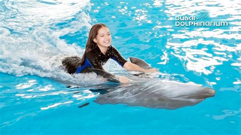 Dubai Dolphinarium - Dolphin and Seal Show - Standard Seat