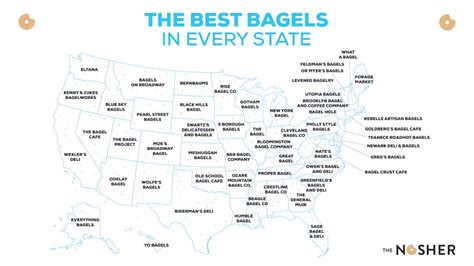 This Map Shows Where to Get the Best Bagel in Every State | The Nosher