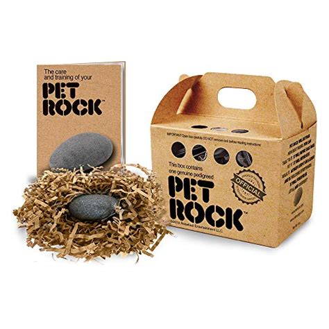 881+ Pet Rock Names (Good, Cute & Cool Ideas) - Blog Of Tom