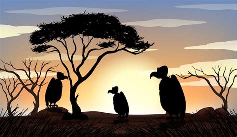 Free Vector | Outdoor nature silhouette sunset scene