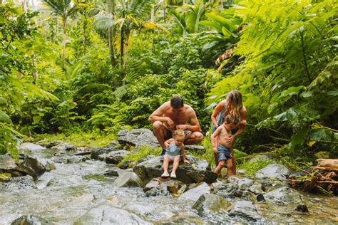 Best Hiking Trails in El Yunque National Forest | Discover Puerto Rico