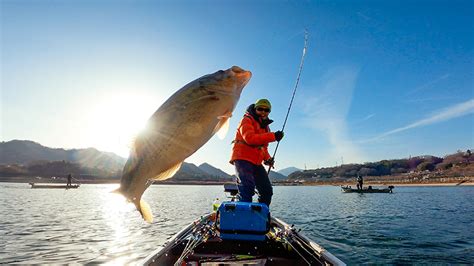 GoPro Fishing Guide: Tips for Mounting Your Camera