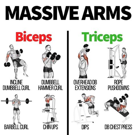 Pin by fit here on fit | Bicep and tricep workout, Big biceps workout ...