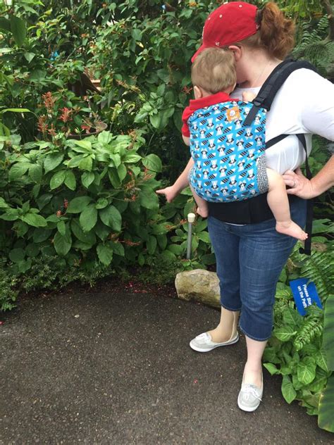 ButterflyHouse1 – Greater St. Louis Babywearing