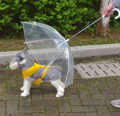 Dog Umbrella – essential merch