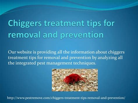 PPT - CHIGGERS TREATMENT TIPS FOR REMOVAL AND PREVENTION PowerPoint ...