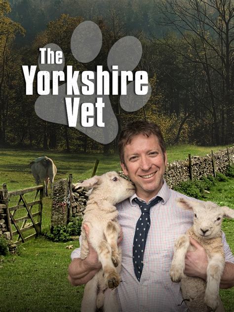 The Yorkshire Vet - Rotten Tomatoes