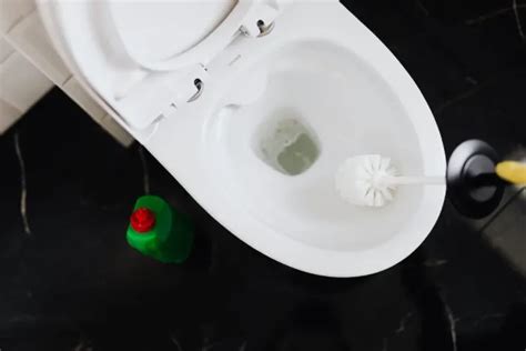 6 Best Tips How To Fix A Slow-Draining Toilet