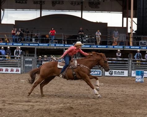 Animal Competitions at the Colorado State Fair