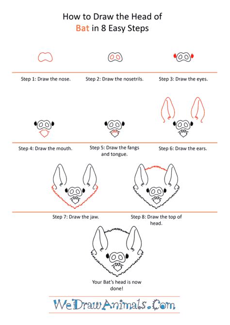 How to Draw a Bat Face