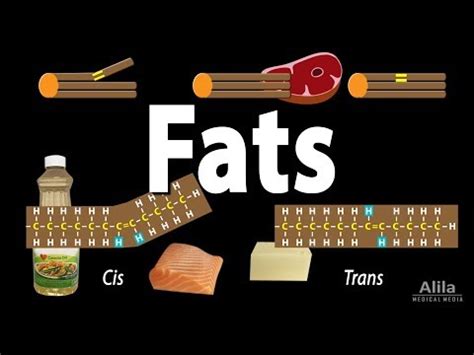 View 27 Saturated Vs Trans Fat - salernoespics