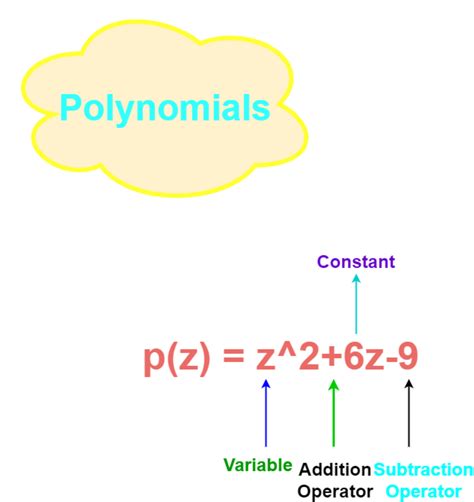 Polynomials (Definition, Types and Examples) - HubPages