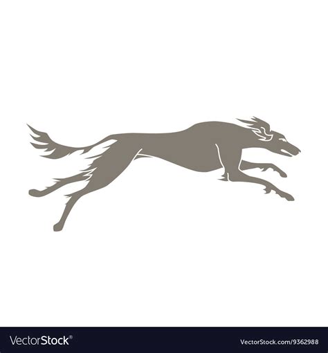 Silhouette of running dog saluki breed Royalty Free Vector