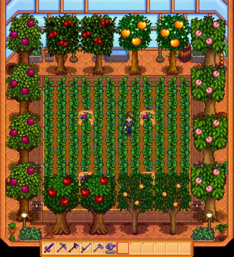 Greenhouse in Stardew Valley: tips, setup and layout | Stardew valley