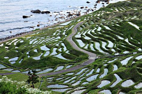 Shiroyone Senmaida, on one page charms and highlights quickly, (Shiroyone Rice Fields), Ishikawa ...