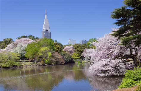 Shinjuku Gyoen - SMARTTRAVELERS