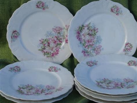 antique azalea lily floral china luncheon/dinner plates, vintage Germany?