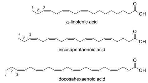 Omega-3 Fatty Acids | HVMN® Biohacker Guide