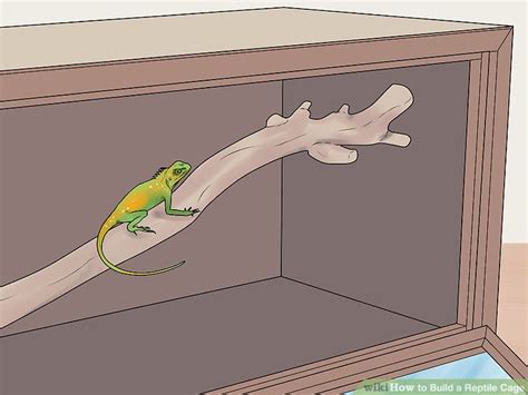 How to Build a Reptile Cage: 12 Steps (with Pictures) - wikiHow