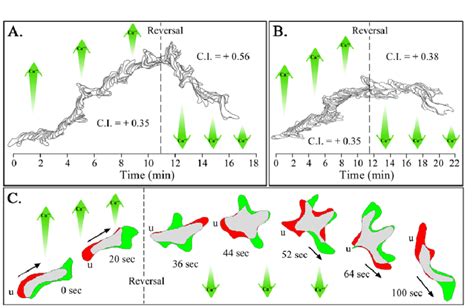 Cells undergoing chemotaxis in a spatial gradient of Ca 2+ change ...