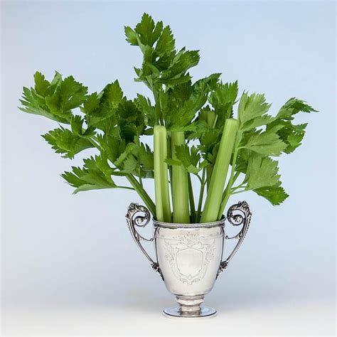 celery-in-vase | Encyclopedia Of Herbology