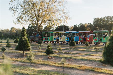 Christmas Season Gallery — Old Time Christmas Tree Farm