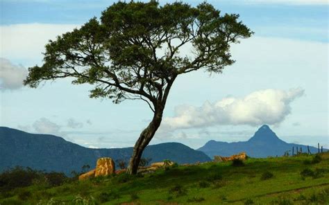 Horton Plains Trekking Tours | Horton Plains Trekking Trips | Trekking tours in Horton Plains ...