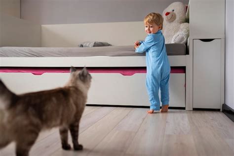 Free Photo | Full shot boy playing with cat