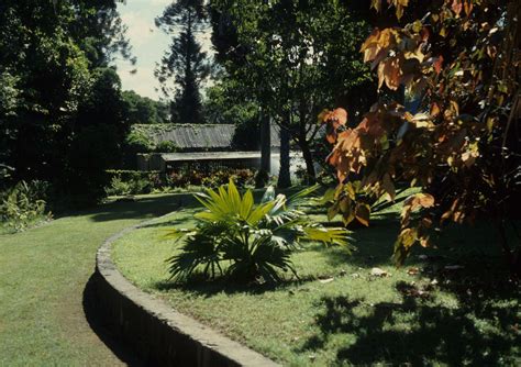 Approach to Rockhampton Botanic Gardens