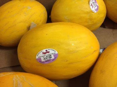 Canary Melon - California Specialty Farms