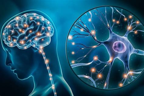 Brain Hypoxia - Symptoms, Causes & Treatment - Santripty