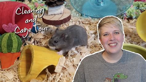 DWARF HAMSTER CAGE CLEANING AND TOUR - YouTube