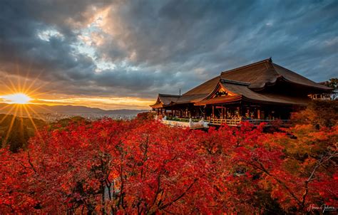 Wallpaper Japan, Japan, Kyoto, Kiyomizu-dera Temple, autumn trees ...