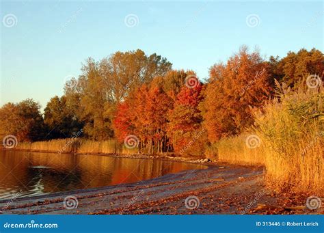 Autumn beach 1043 stock photo. Image of sand, sunset, float - 313446