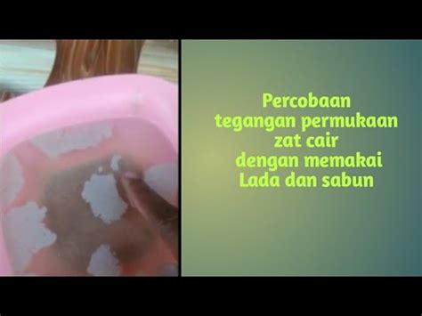 Percobaan tegangan permukaan zat cair dengan memakai Lada dan sabun - YouTube