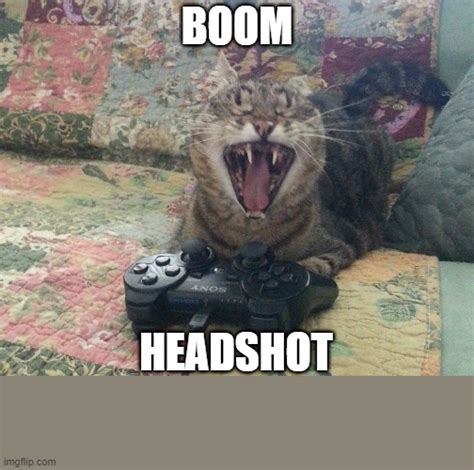 Game Cat Boom Headshot - Imgflip