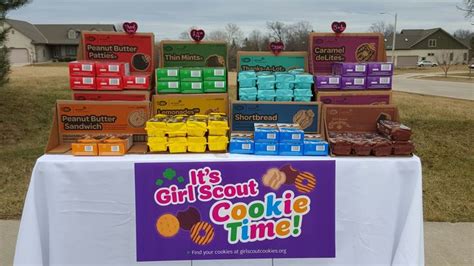 Girl scout cookie display | Girl scout cookies booth, Girl scout cookies, Girl scouts