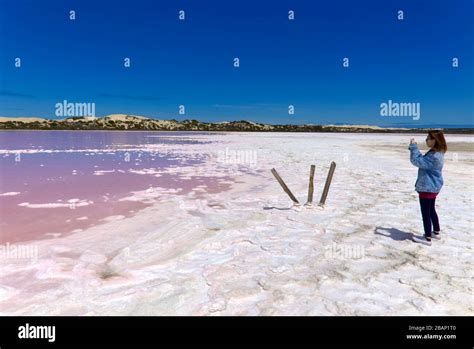 "The Pink Lake" which is a section of Lake MacDonnell near Penong South ...