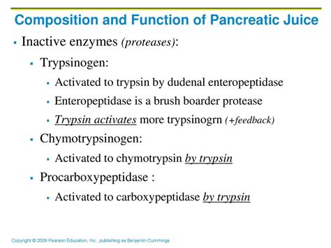 Hepatocytes’ functions include: - ppt download