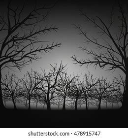 Gloomy Forest Fog Trees Withered Stock Vector (Royalty Free) 478915747 | Shutterstock