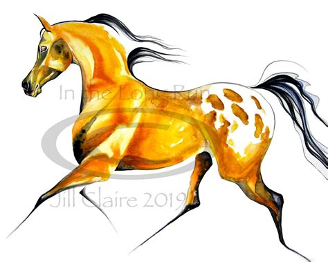 Buckskin Appaloosa Horse Art Painting Print Jill Claire Original - Etsy