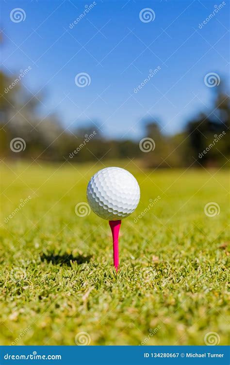 Golf Ball on a Tee at a Golf Course Stock Image - Image of leisure, hobby: 134280667