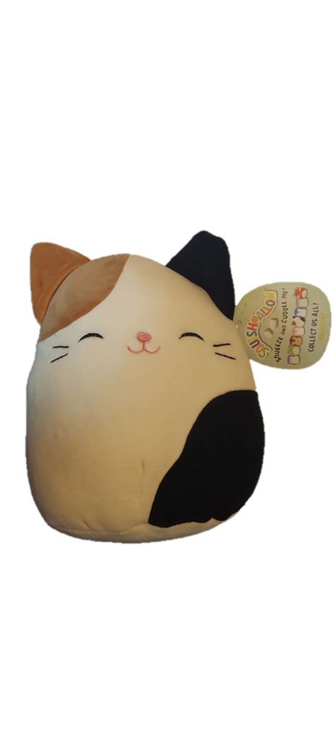 Kellytoy Squishmallows 8 Inch Plush - Calico Cat | Calico cat, Cute animals, Calico